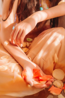 梅花三弄之梅花烙